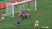 2-1 Ivan Franjic Goal Australia  A-League  Regular Season - 18.01.2018 Brisbane Roar 2-1 Perth Glory
