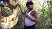 Inde : Un homme se couvre le corps de milliers d'abeilles à main nue (vidéo)