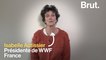 Isabelle Autissier de WWF réagit à l'abandon de Notre-Dame-des-Landes