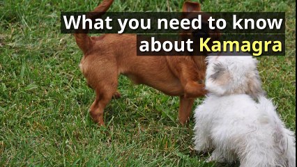 What you need to know about Kamagra