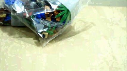 70608 LEGO [Ninjago Master Falls] Assembly video stop-motion