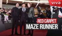 EKSKLUSIF Histeria Red Carpet Maze Runner di Korea