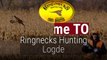 Ringnecks Hunting Lodge - South Dakota Pheasant Hunts