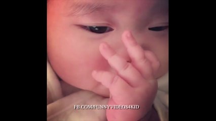 Best funny videos cats dogs kids ever make you laugh 1000 times #13