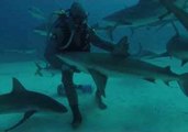 Apprentice 'Shark Whisperer' Shows His Hypnotic Skills