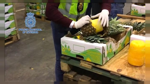 Maxi-sequestro di 745 Kg di cocaina nascosta nella frutta esotica