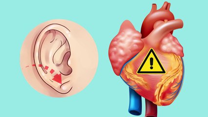 What Your Ears Reveal About You