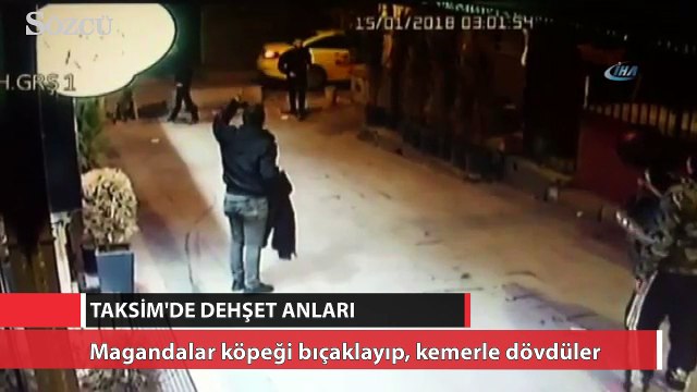 Taksim’de magandalar köpeği bıçaklayıp, kemerle dövdüler