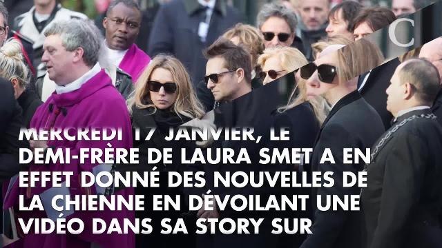 Découvrez qui a récupéré Cheyenne, la chienne de Johnny Hallyday