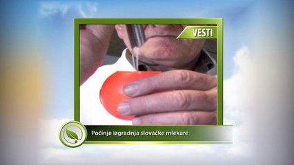 VESTI - Rekovac: Počinje izgradnja slovačke mlekare