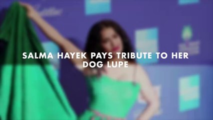 Salma Hayek Pays Tribute to Her Dog Lupe