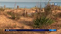 Tempêtes en France : le littoral aquitain en souffre