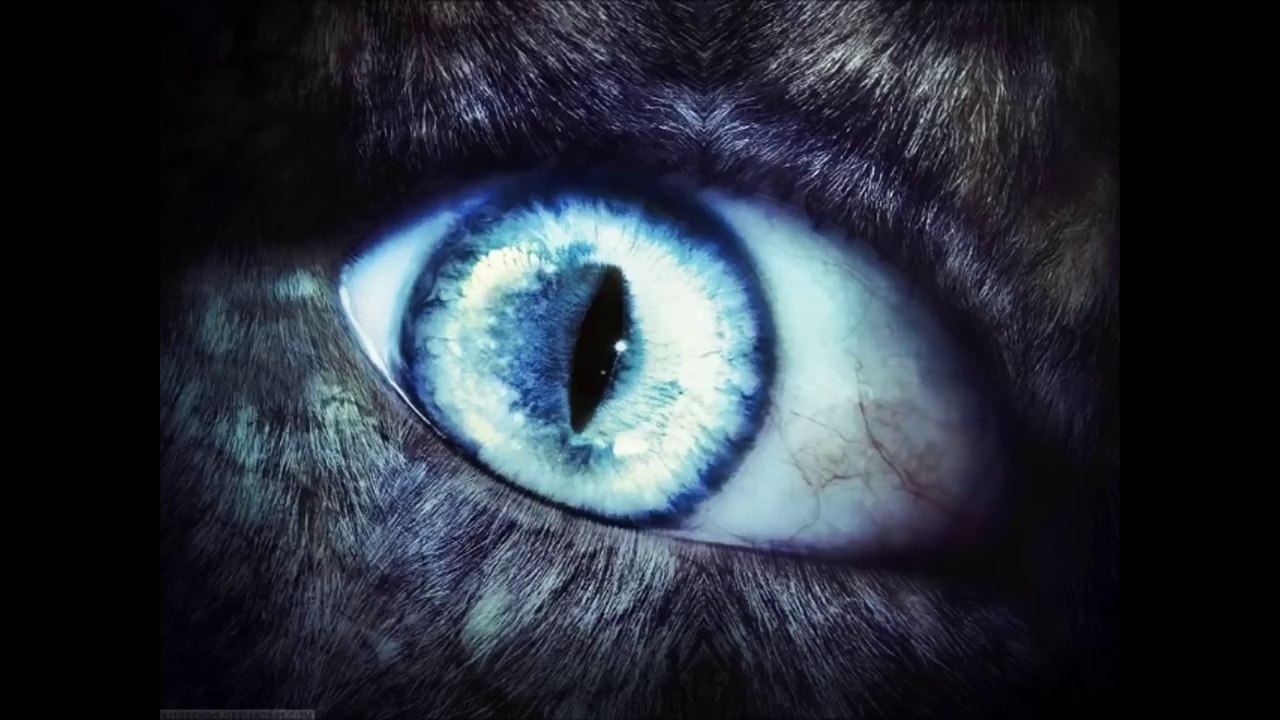 Werewolves Real or Fake? Lycan, Werewolf, Wolf Man, Lycanthrope Were Never So Cool