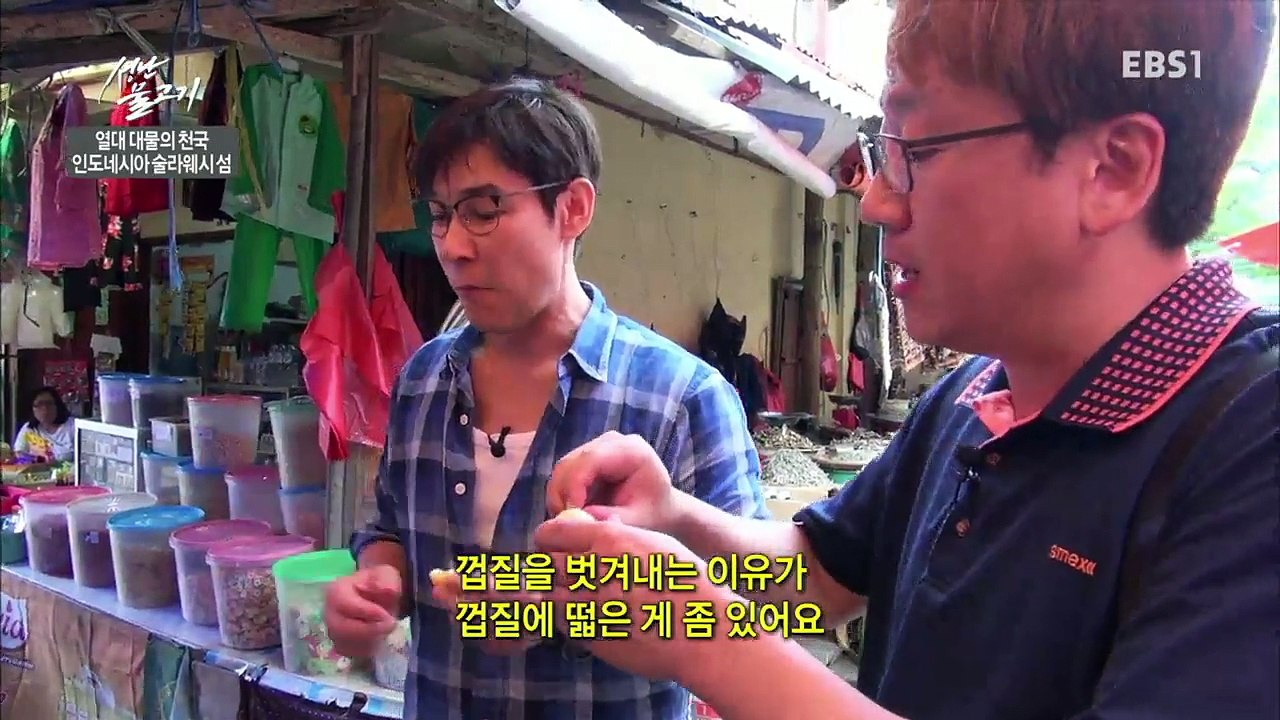 성난 물고기 - 열대 대물의 천국, 인도네시아 술라웨시 섬_#002