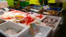 Vis eten bij Tsukiji werelds grootste Vismarkt 