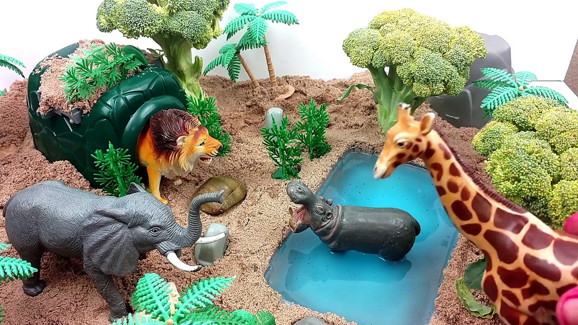 ZOO Wild Animals In Jungle Safari/Learn Names and Sounds of Forest Animals  With Scheich Toys - video Dailymotion