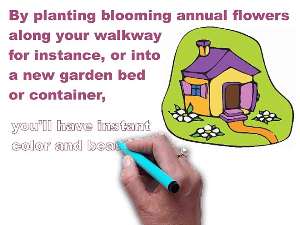 annuals video
