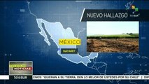 México: hallan más de 30 cuerpos en fosas clandestinas de Nayarit