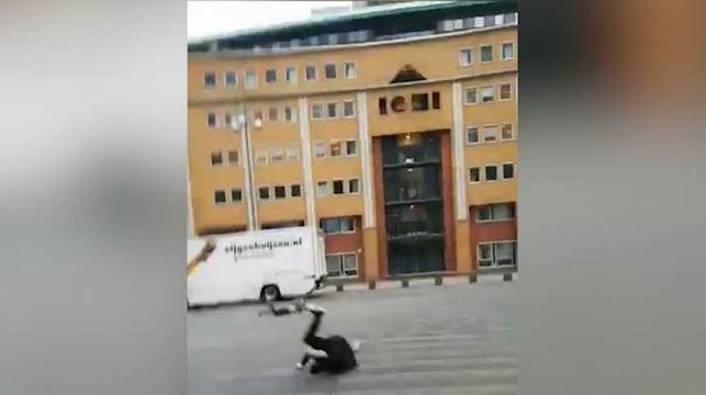 Aux Pays-Bas, la tempête David envoie valser les passants