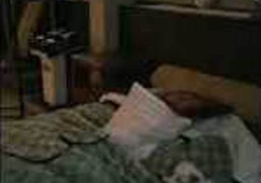 Doggo Enjoys High-Flying Game With Owner