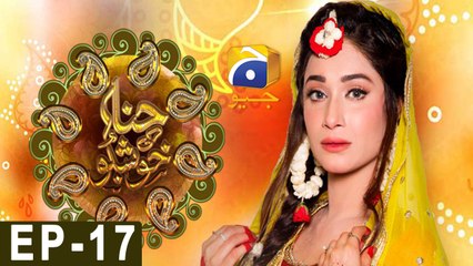 Hina Ki Khushboo Episode 17 | Har Pal Geo