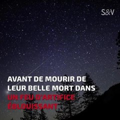 La Terre pourrait-elle perdre tous ses océans?