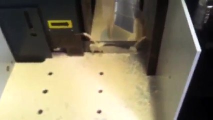 Automatic Band Saw Machines