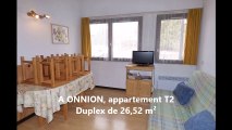 Appartement 2 pièces Duplex - à vendre - ONNION (74)