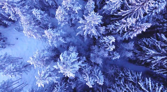 Teesside Evening Weather 18/01/18