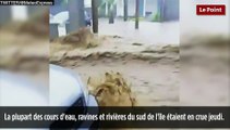 Tempête Berguitta : pluies torrentielles sur l'île de La Réunion