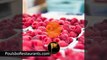 Fruit loop taste | Food facts | Poulsbo Restaurants