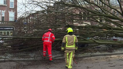 Huge storms batter the Netherlands