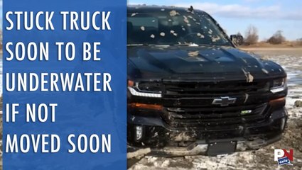 Edge ST, Truck In Trouble, Off Road Innovation, Land Rover Restoration, Ford Cheating Emissions, And Fast Fails