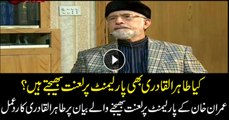 Qadri reacts to Imran Khan's cursing parliament