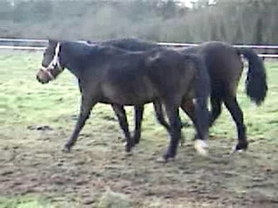 Novembre 2007 093