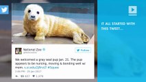 These Zoos Had a Cute Animal Photo Tweet Battle