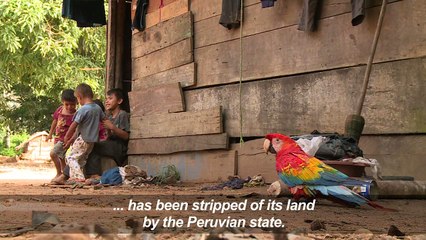 Peru indigenous people travel to see pope