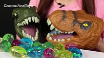 공룡 알 변신 주물럭 장난감 캐리 의사 놀이 CarrieAndToys