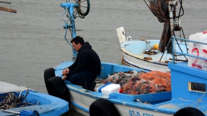 Gazipaşa ilçesinde seralar ve tekneler zarar gördü - ANTALYA