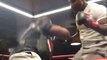 MMA Breakout Star Francis Ngannou DROPS His Coach with Leg Kick During UFC 220 Open Workout
