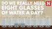 Do we really need eight glasses of water a day?