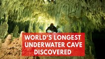 World's biggest ever underwater cave filled with ancient Mayan artefacts discovered in Mexico
