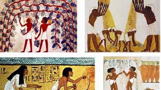 التاريخ للصف الأول الثانوي { 04 } الحياة الإقتصادية والدينية فى مصر القديمة