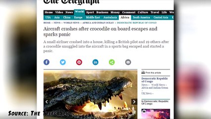 6 Most Bizarre Plane Crashes