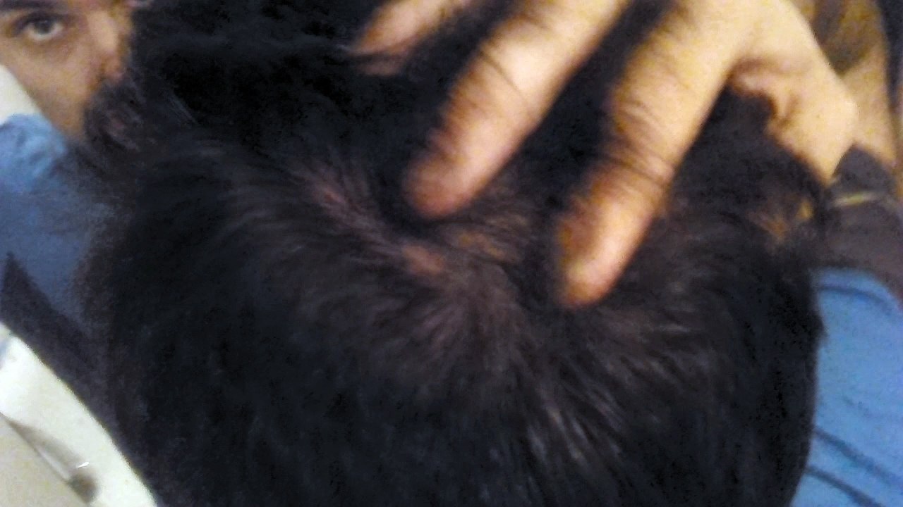 VID_20180119_005705
