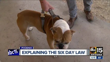 Clarifying Arizona's six day dog ownership law