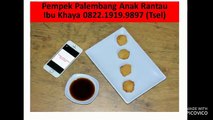 Dimana Tempat Jual Pempek Online Tidore Kepulauan WA +62 822 1919 9897