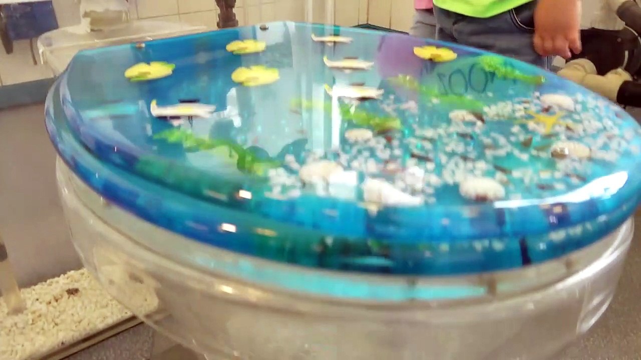 Indoor Playground Family Fun Play Area for kids playing & Baby Nursery Rhy