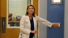 Grey's Anatomy  Four Seasons in One Day (S14E9)