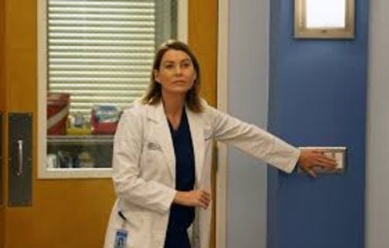 Grey's Anatomy Four Seasons in One Day (S14E9)